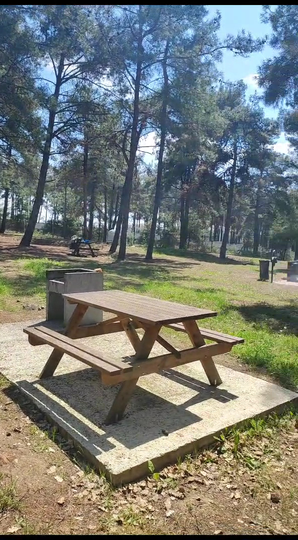 Atatürk Ormanı Mesire Yeri — fotoğraf 3