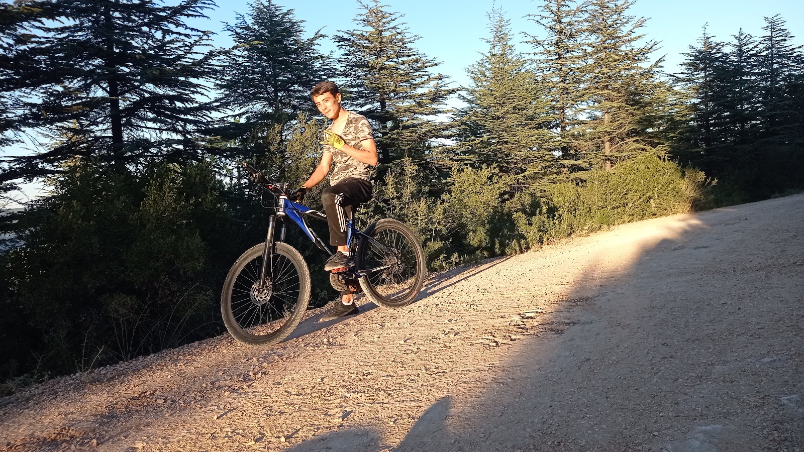 Atatürk Ormanı Piknik Alanı — fotoğraf 3