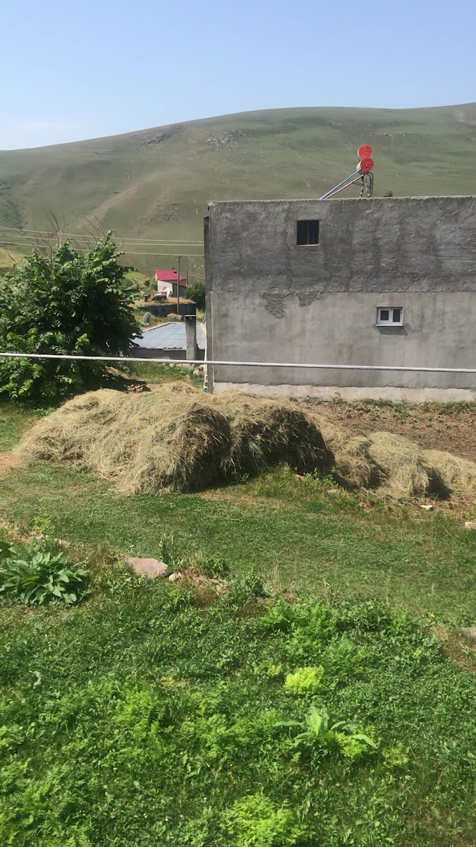 Atatürk silueti — photo 4