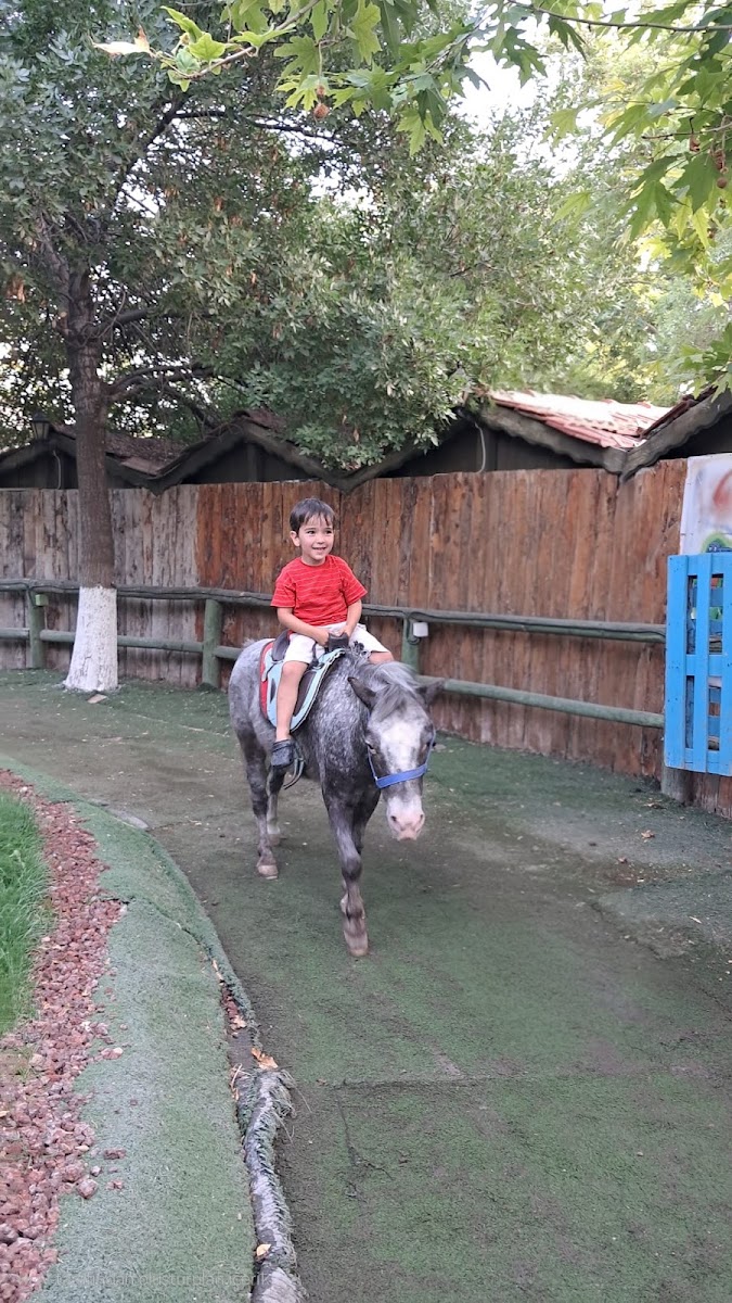 Atlıhan Binicilik ve Aile Dinlenme Tesisleri — photo 2
