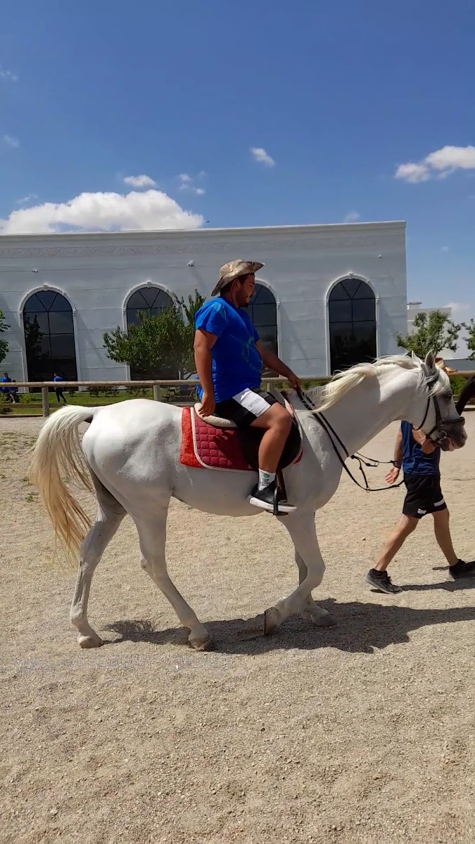 Atlıhan Binicilik ve Aile Dinlenme Tesisleri — photo 3