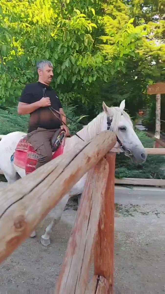 Atlıhan Binicilik ve Aile Dinlenme Tesisleri — photo 4