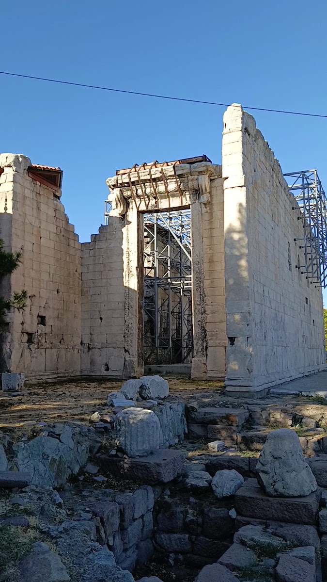 Augustus Temple — photo 3