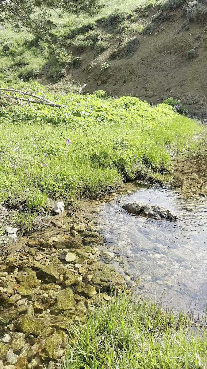 Avarak Kalesi — photo 3