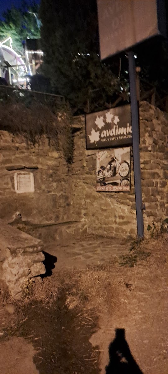 AVDIMIO Hotel — fotoğraf 2
