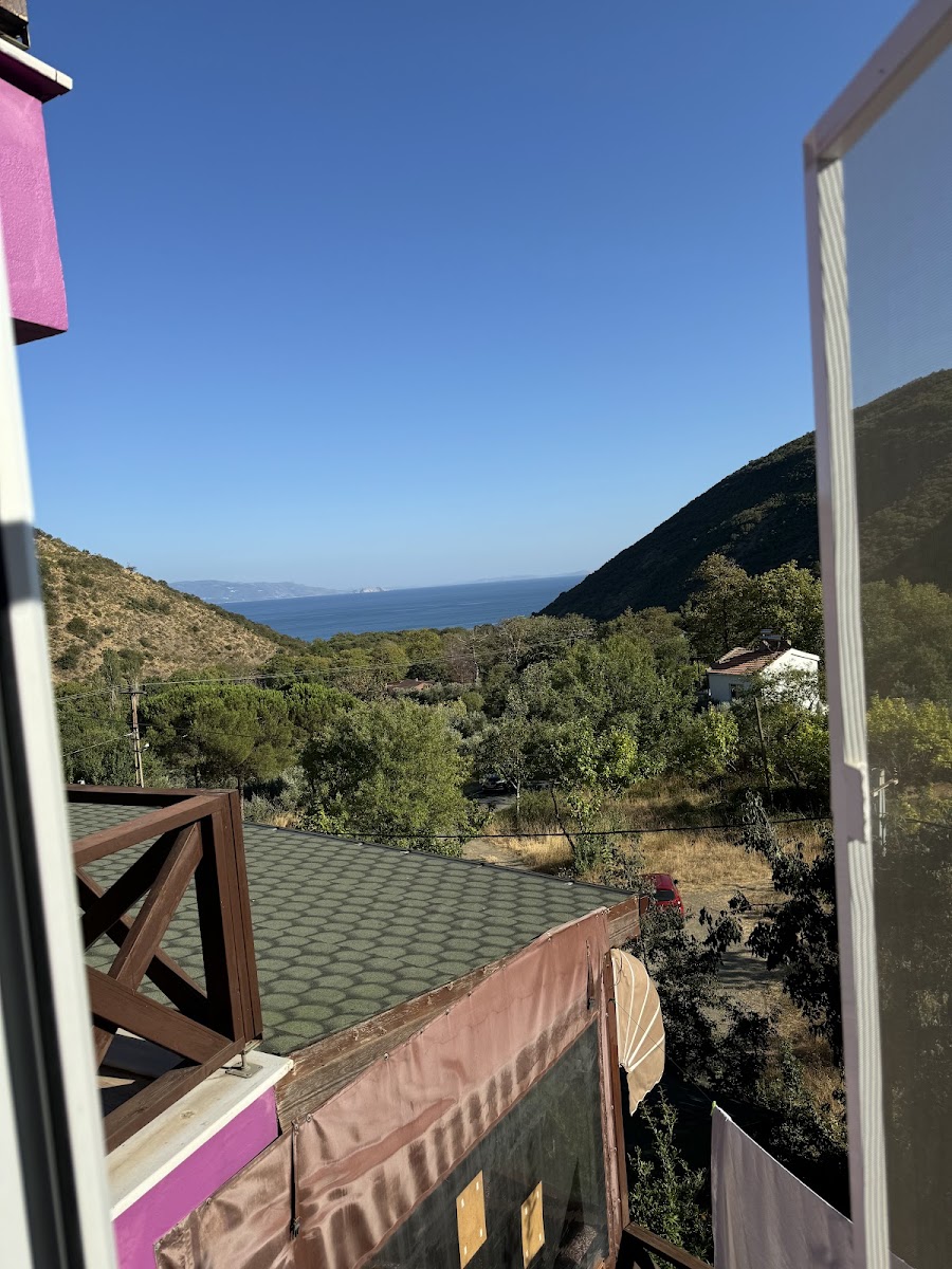 AVDIMIO Hotel — fotoğraf 5