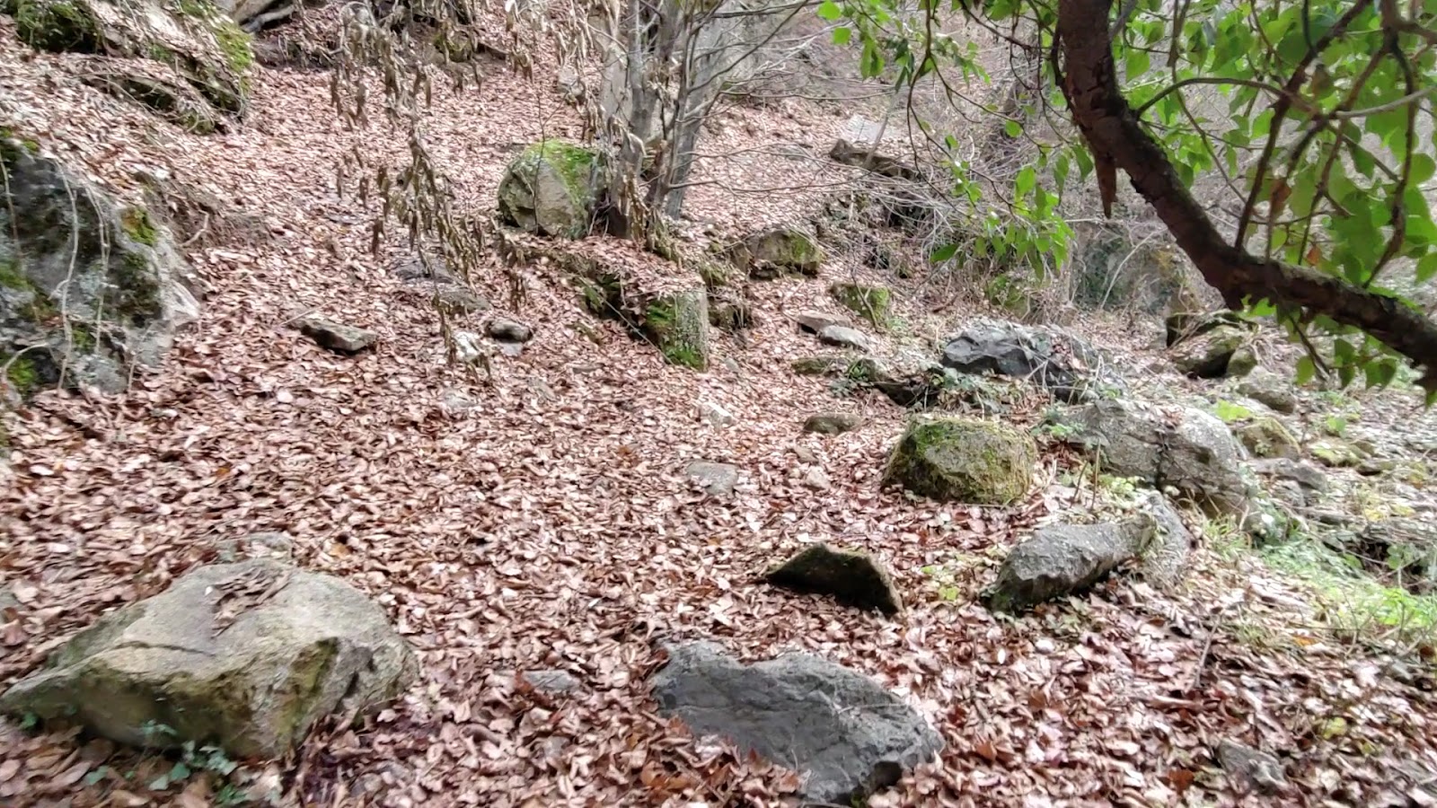Avlakkaya Kanyonu — fotoğraf 2