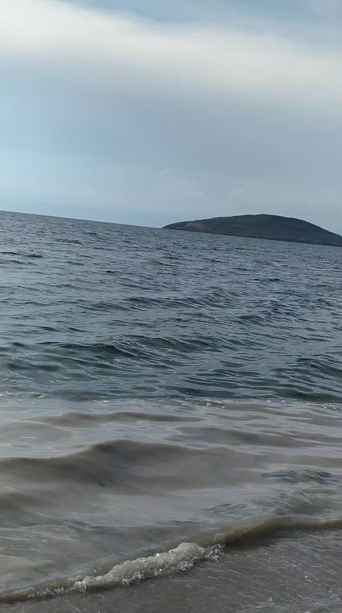 Avşa Adası — photo 4