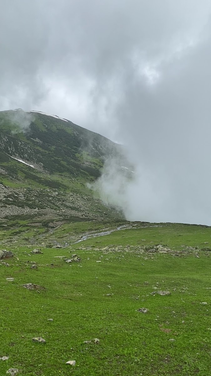 Avusor Yaylası — fotoğraf 2