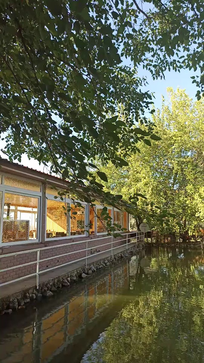 Ay Işıgı Alabalık Restaurant — fotoğraf 3