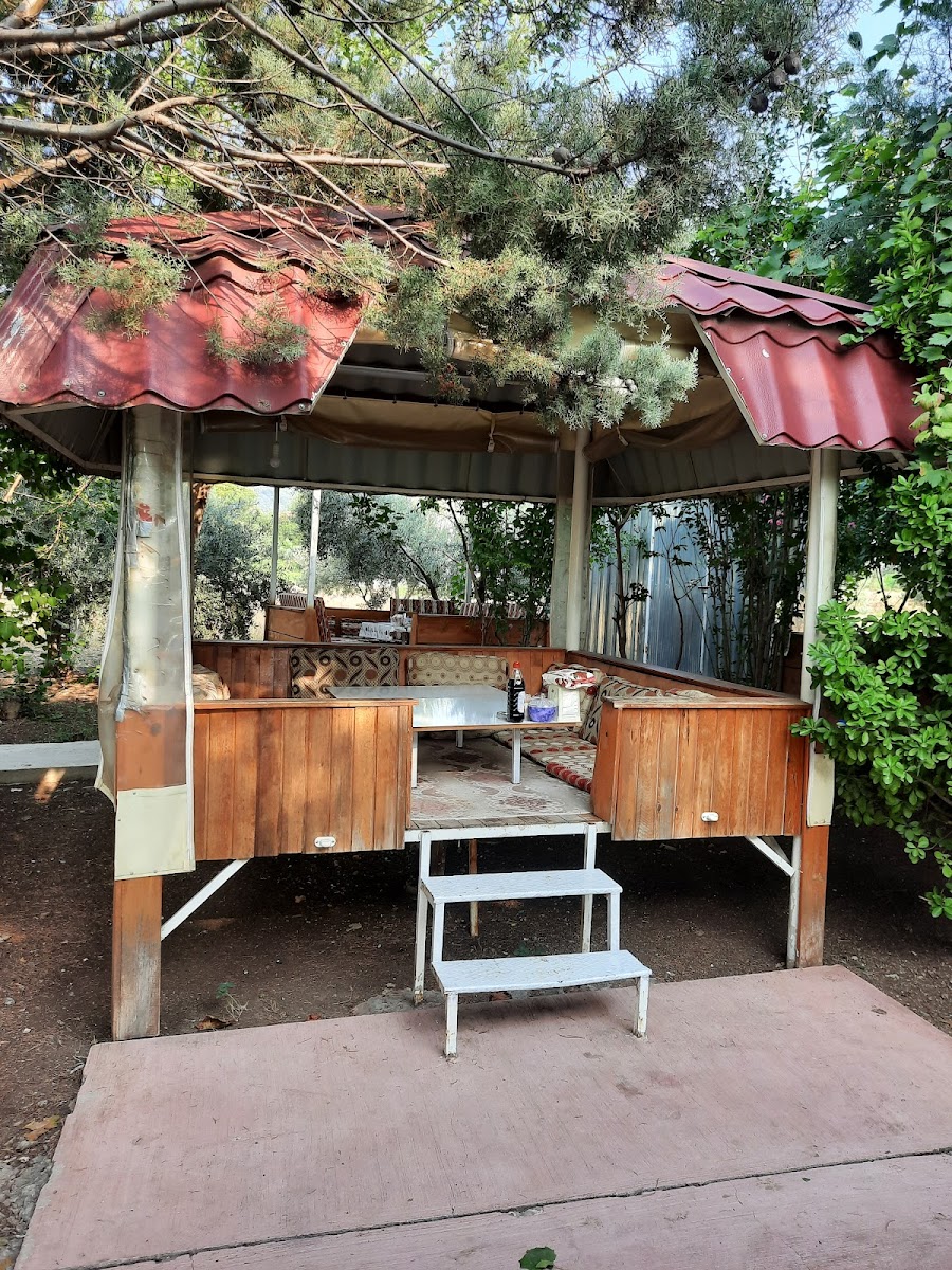 Ay Işıgı Alabalık Restaurant — fotoğraf 4