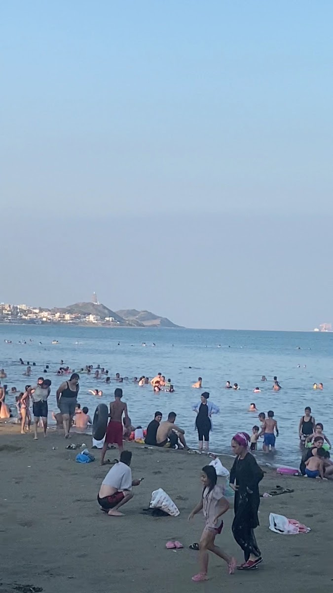 Ayas Kalesi — photo 3