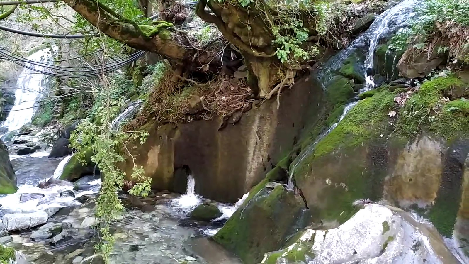Ayazma Pınarı Tabiat Parkı — fotoğraf 3