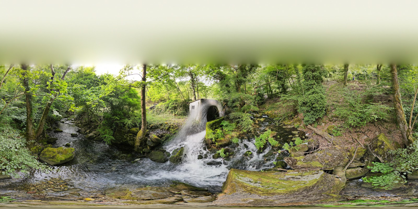 Ayazma Pınarı Tabiat Parkı — fotoğraf 5