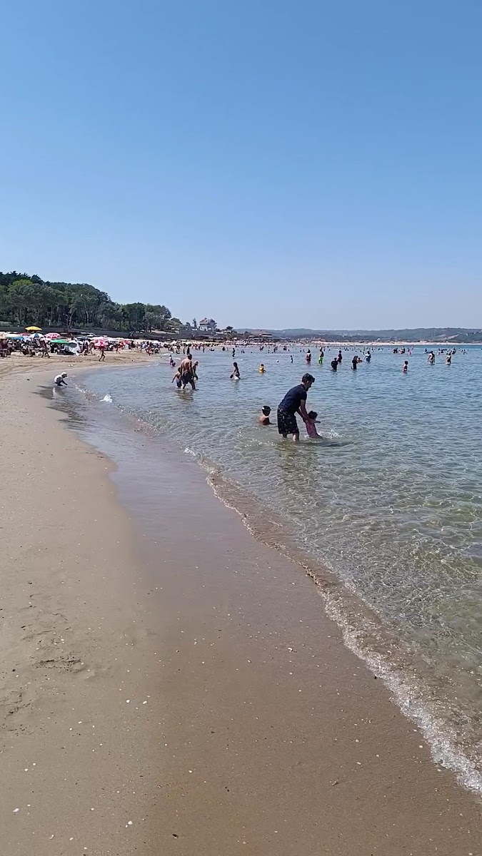 Ayazma Plajı Şile — photo 3