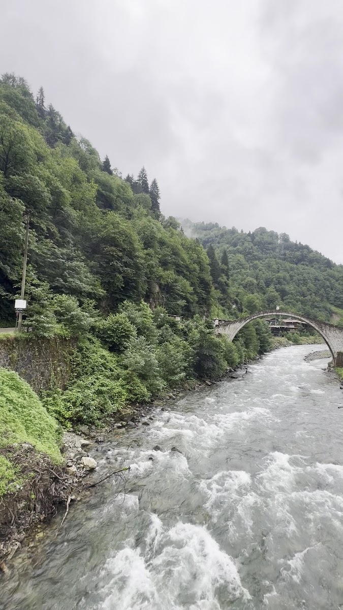 Ayder camlıhemşin — fotoğraf 2