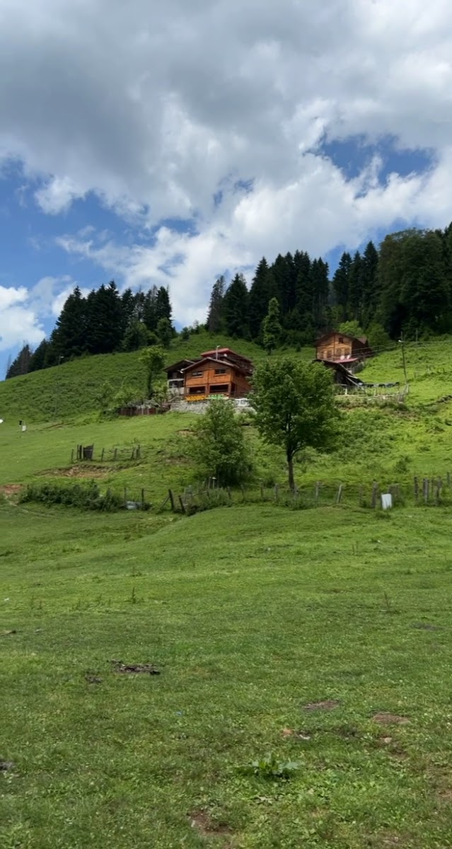 Ayder camlıhemşin — fotoğraf 3