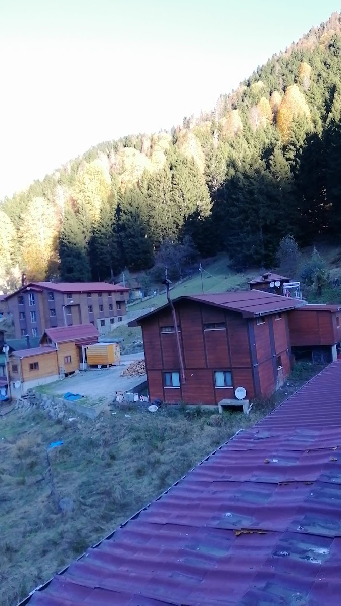 Ayder Ümit Otel — fotoğraf 3