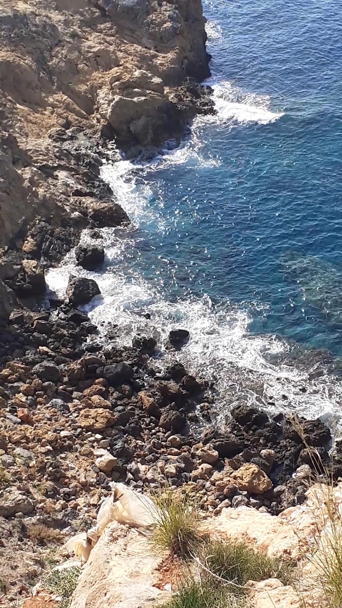 Aydıncık — photo 3