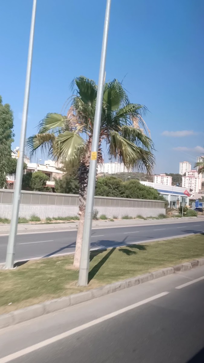 Aydın — fotoğraf 2