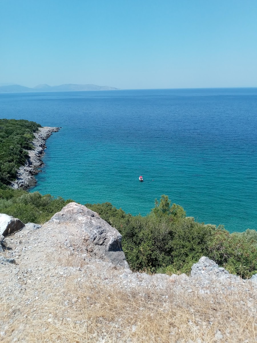 Aydınlık Koyu — fotoğraf 4