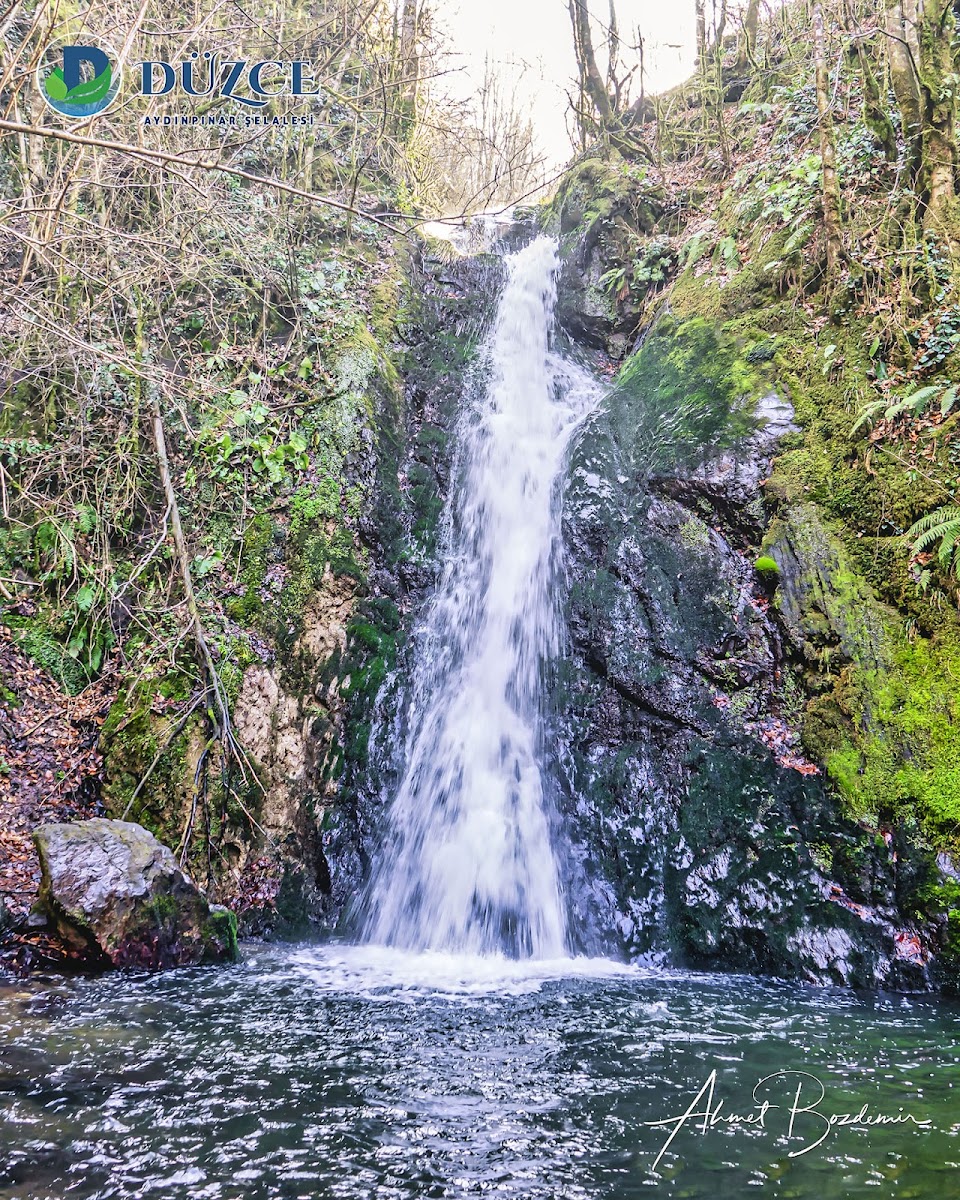 Aydınpınar Şelalesi Tabiat Parkı — fotoğraf 4