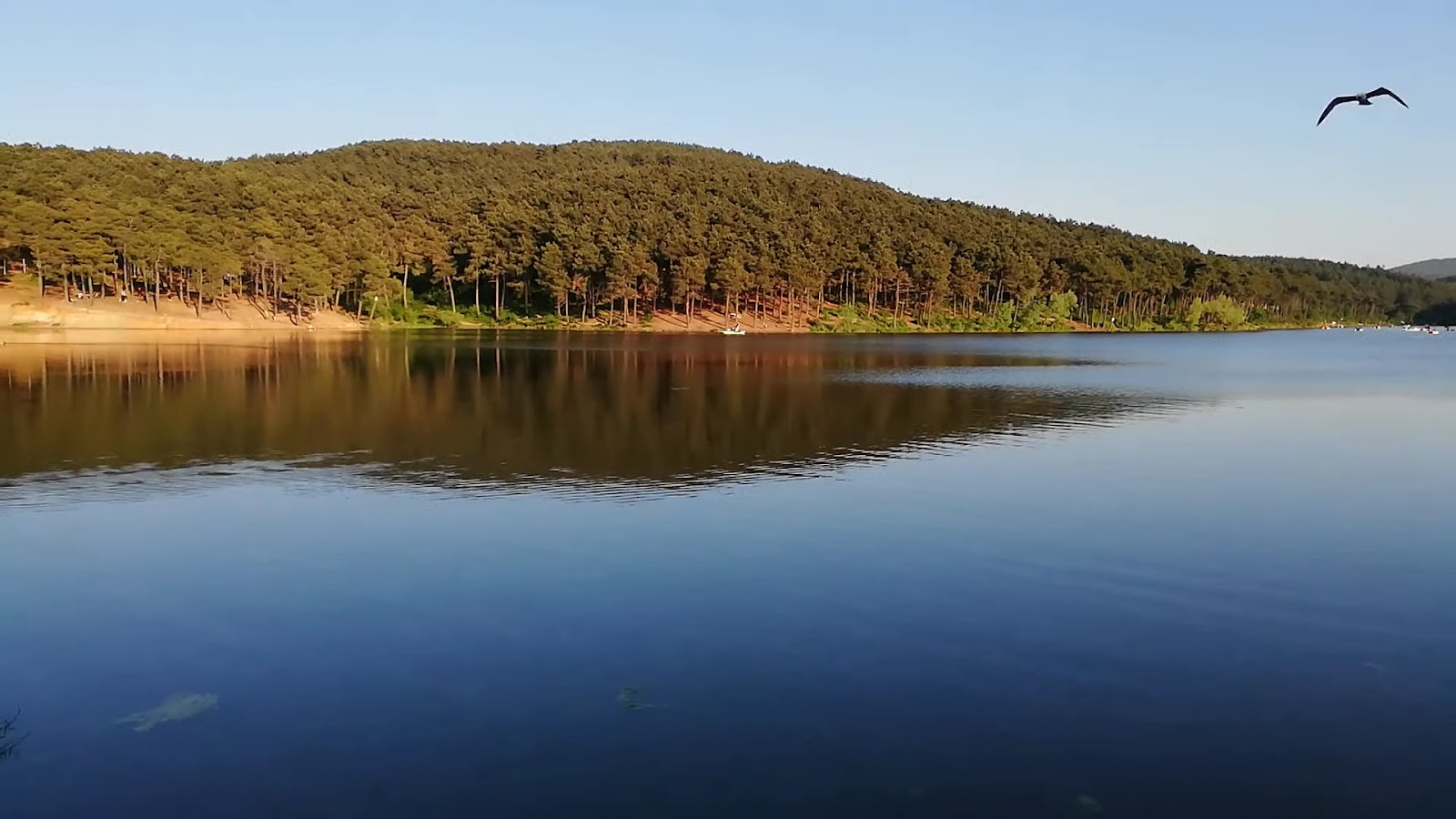 Aydos Ormanı Gölü — fotoğraf 3