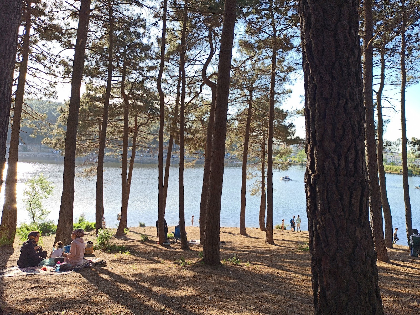 Aydos Ormanı Gölü — fotoğraf 4