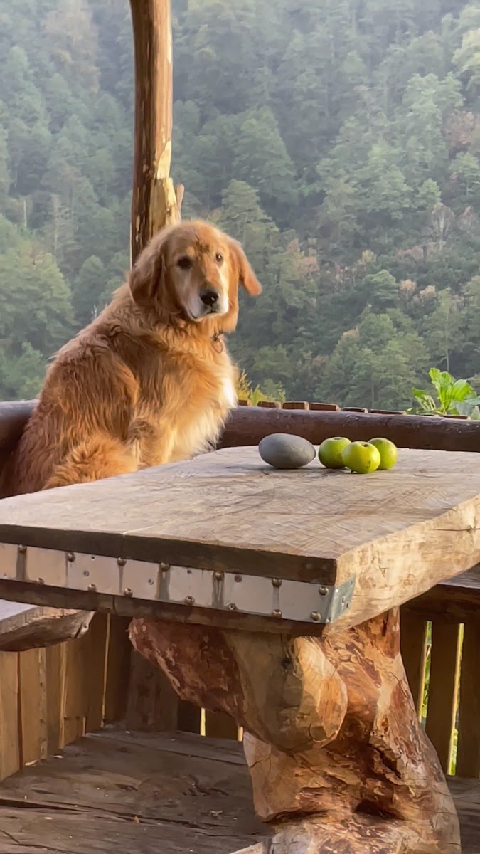 AYMER Butik Otel & Kafe & Restoran — fotoğraf 3