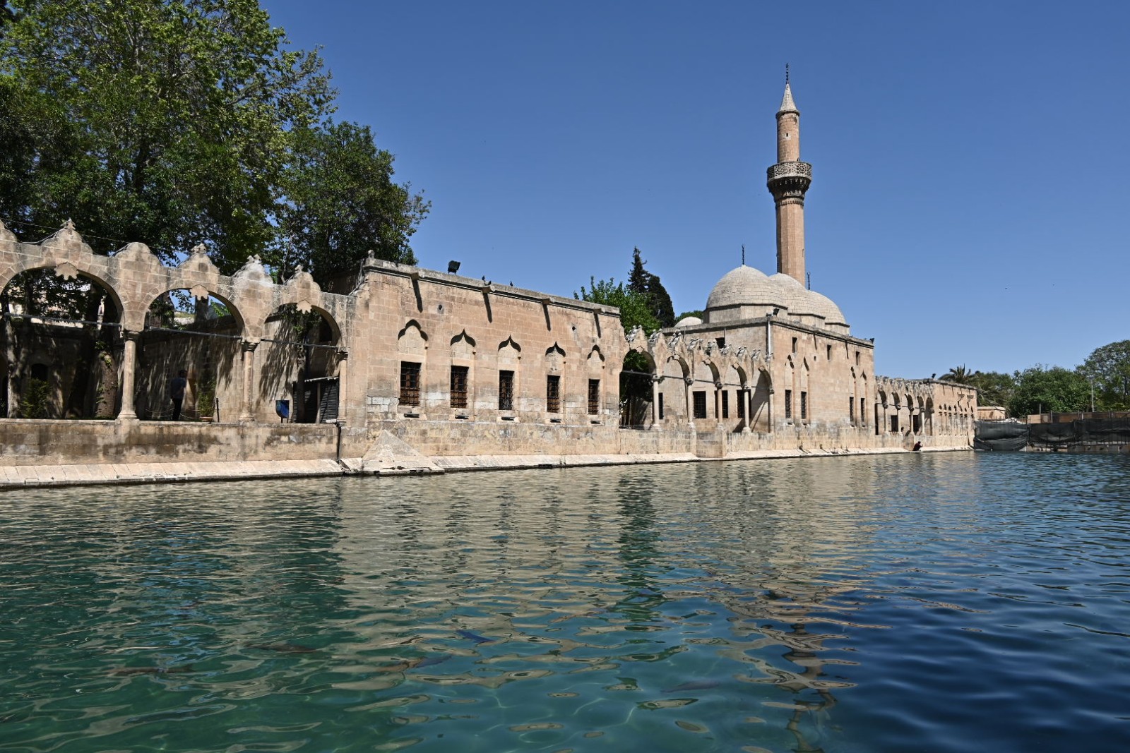 Ayn Zeliha Parkı — fotoğraf