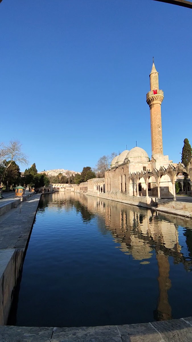 Ayn Zeliha Parkı — fotoğraf 3