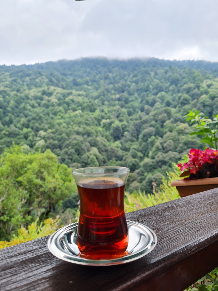 Ayrı Gezegen Cam Teras — fotoğraf 4