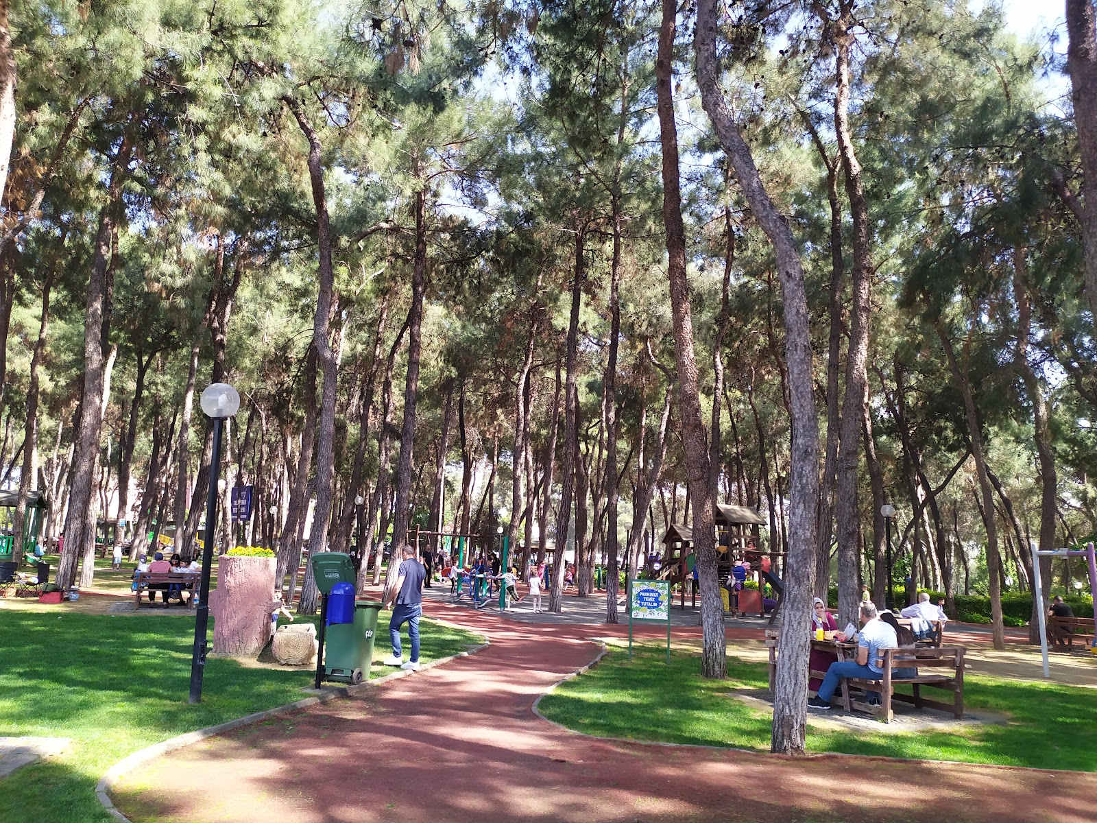 Aytepe Mesire Alanı — fotoğraf 1