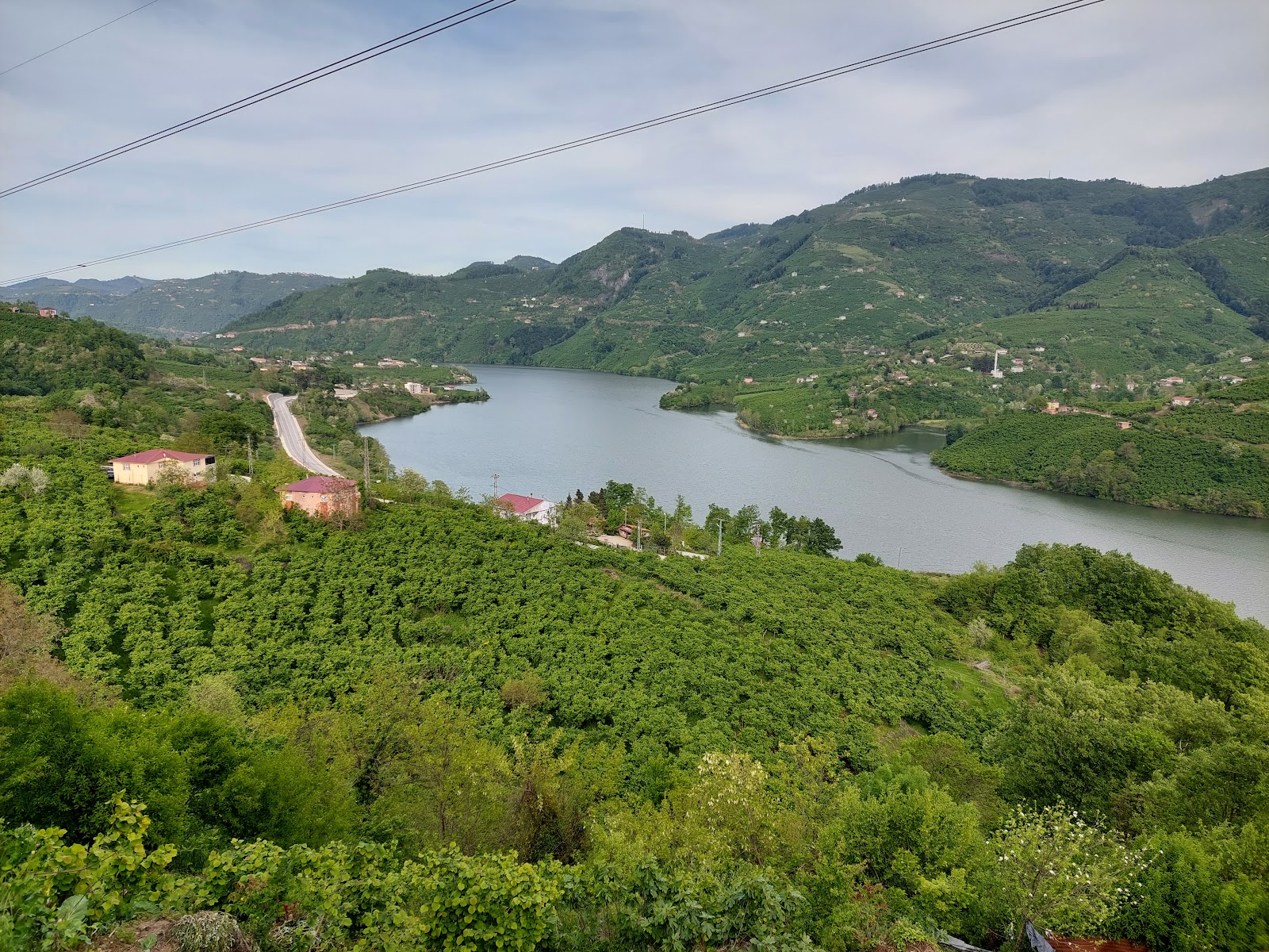 Ayvacık baraj gölü — photo 2