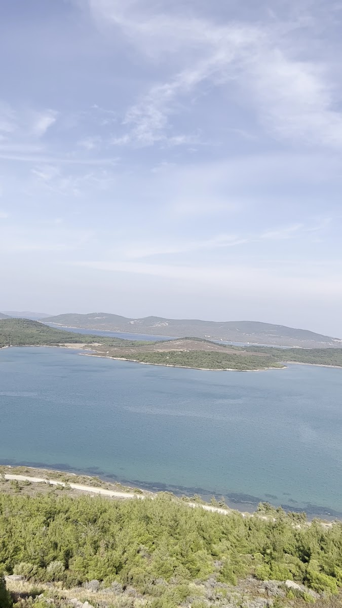 Ayvalık Adaları Tabiat Parkı — fotoğraf 3