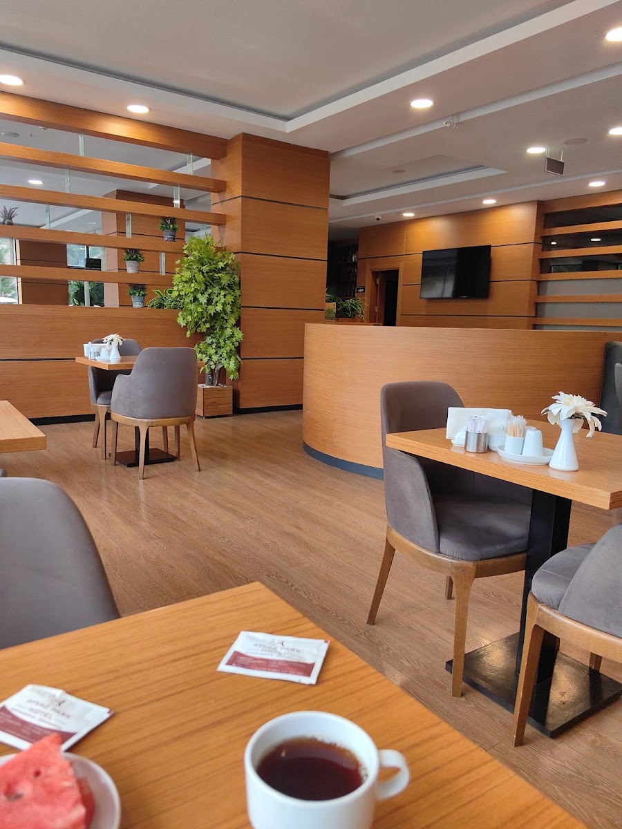 Ayvaz Park Hotel — fotoğraf 2