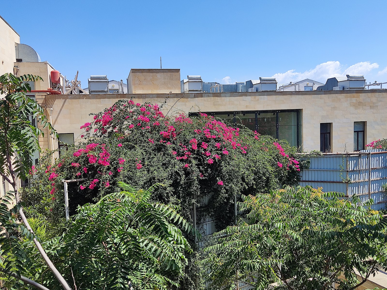 Azerbaycan Ulusal Güzel Sanatlar Müzesi — photo 3