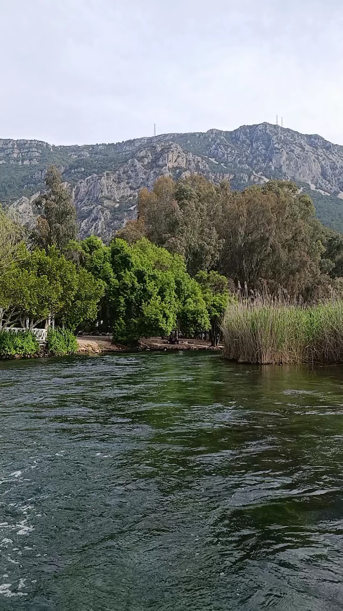 Azmak Nehri Restorantları — fotoğraf 2
