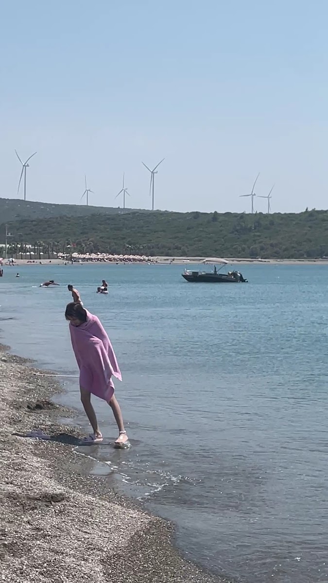 Azmak Plajı — photo 2