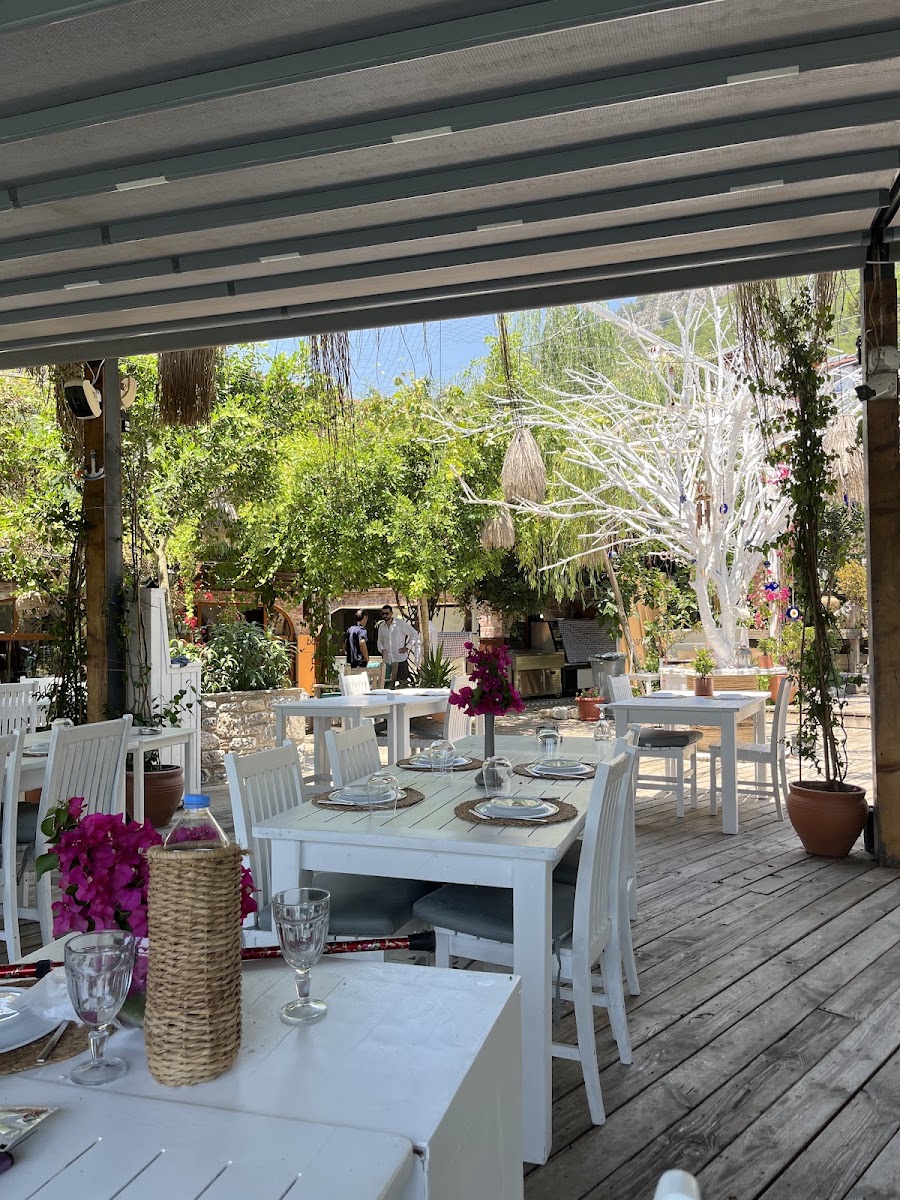 Azmak Restaurant | Akyaka Azmak Üstü Balık & Özel Mezeler & Serpme Kahvaltı-AKYAKA — photo