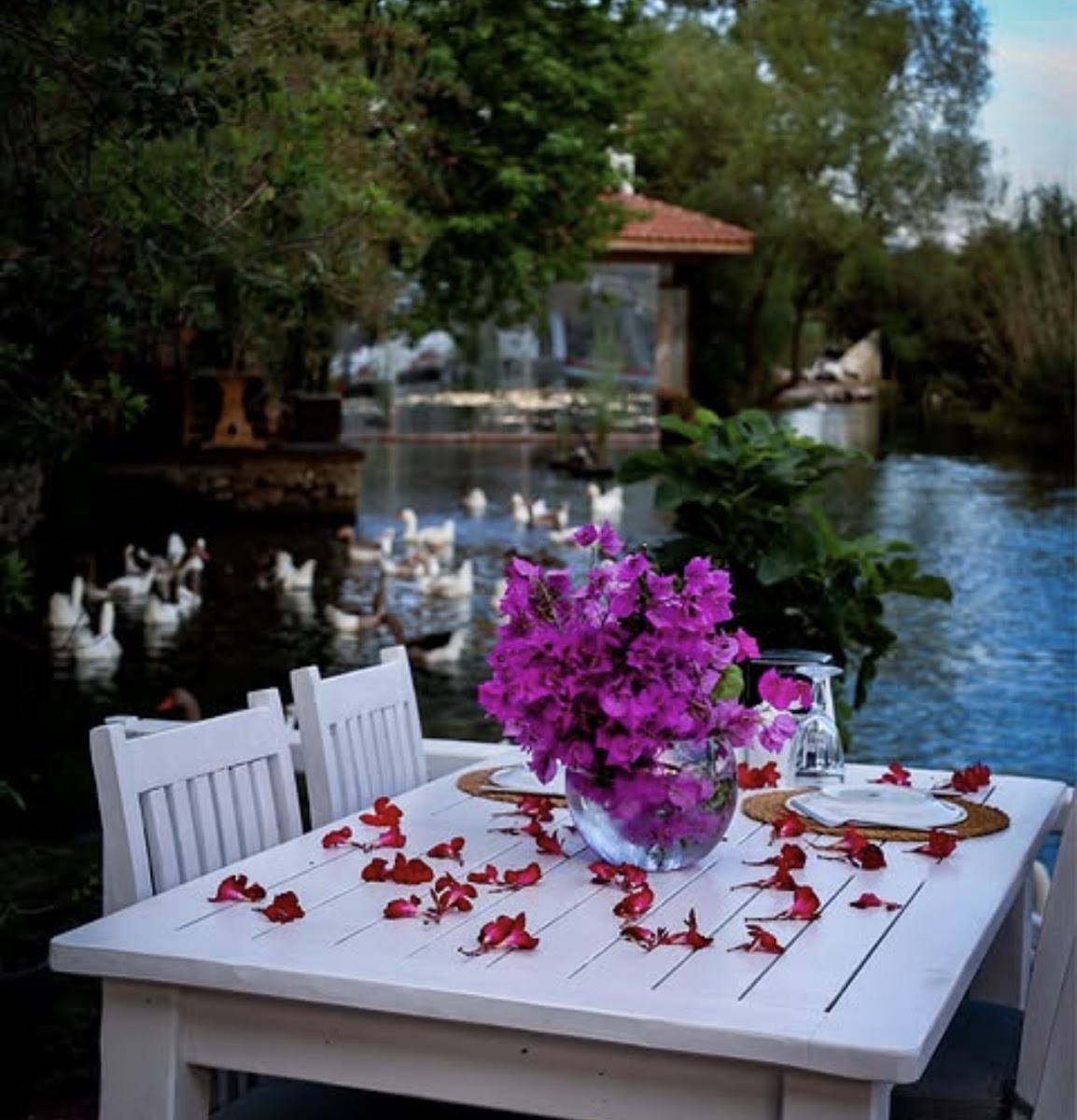 Azmak Restaurant | Akyaka Azmak Üstü Balık & Özel Mezeler & Serpme Kahvaltı-AKYAKA — photo 3