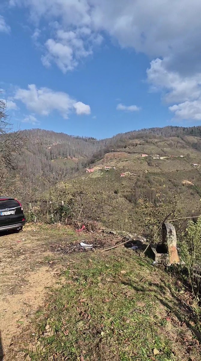 bacce yalıköy — fotoğraf 3