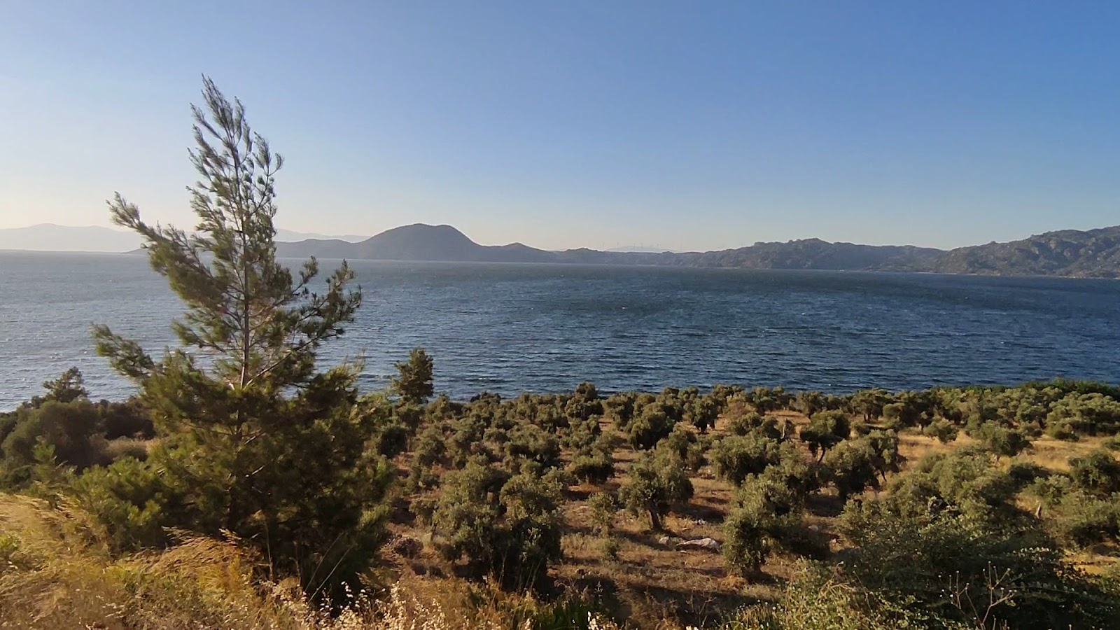 Bafa Gölü — photo 3