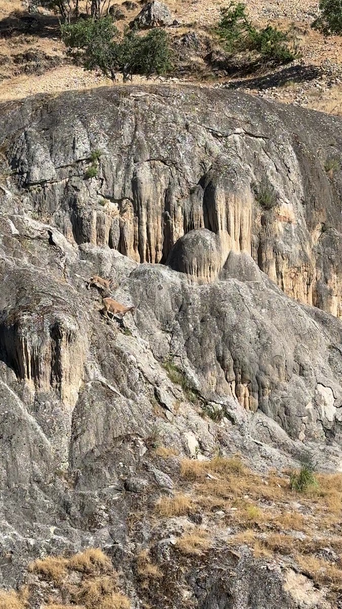 Bağin kaplıcası — fotoğraf 2