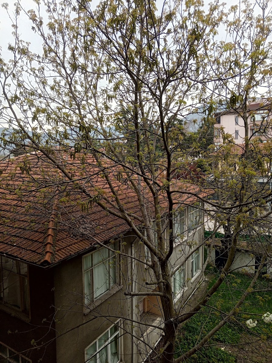 Bağlar Saray Otel — fotoğraf 2