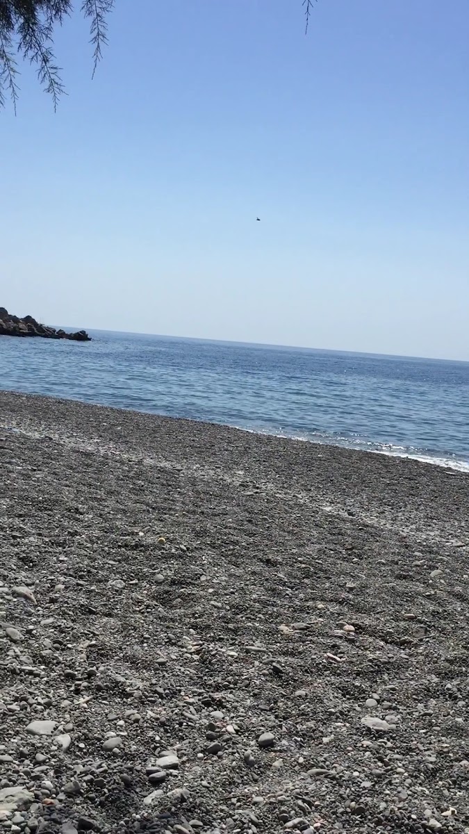 Bağlarözü Sahili — photo 2