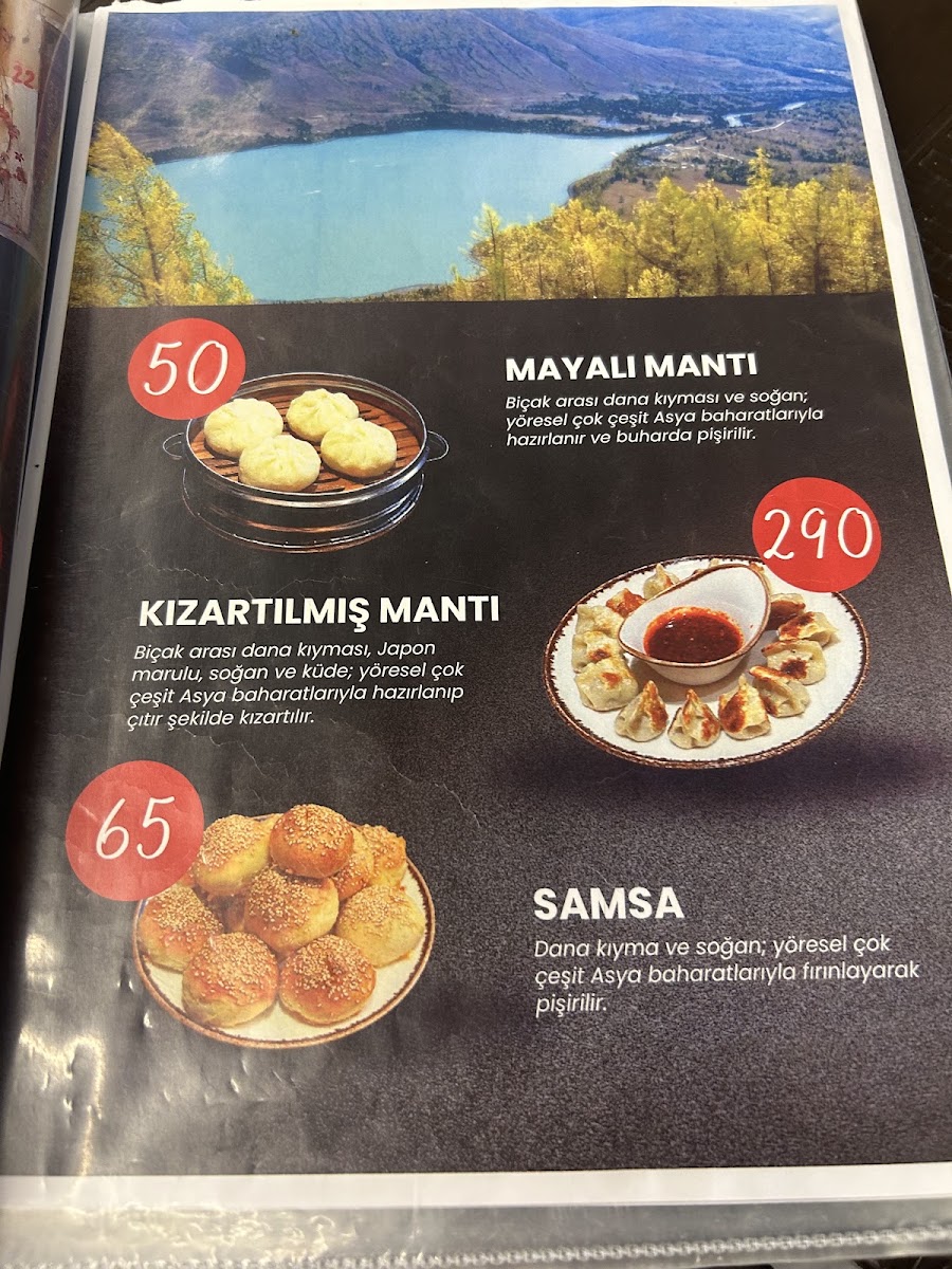 Bagven Uygur Lezzetleri. Nalçacı şubesi — photo 4