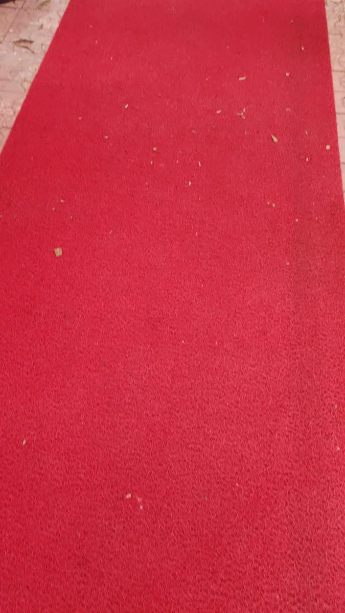 Bahçeli Butik Otel — fotoğraf 3