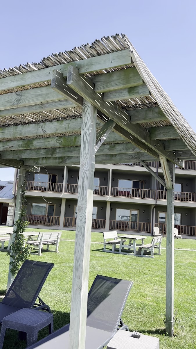 BAKUCHA Vineyard Hotel & SPA — fotoğraf 3