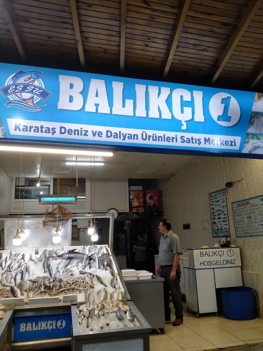 BALIKÇI 1 — fotoğraf